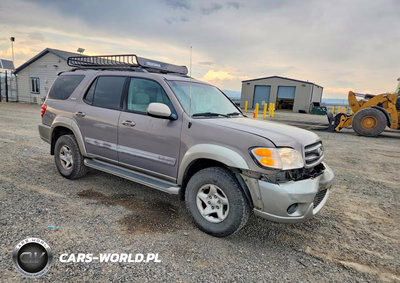 2002 Toyota Sequoia Sr5 VIN:5TDBT44A52S059815 - 4