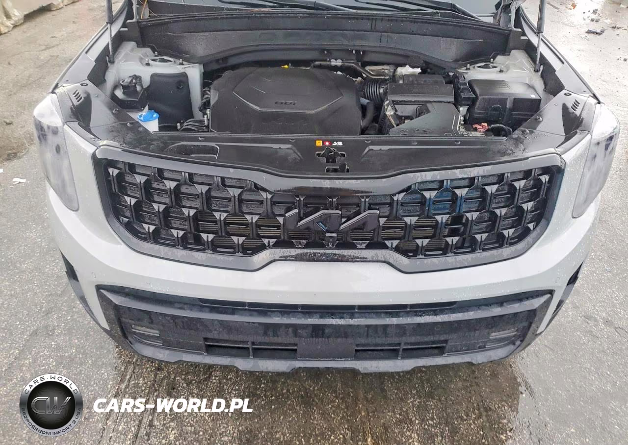 2025 Kia Telluride Sx-Prestige X-Line VIN:5XYP5DGC4SG683793 - 12