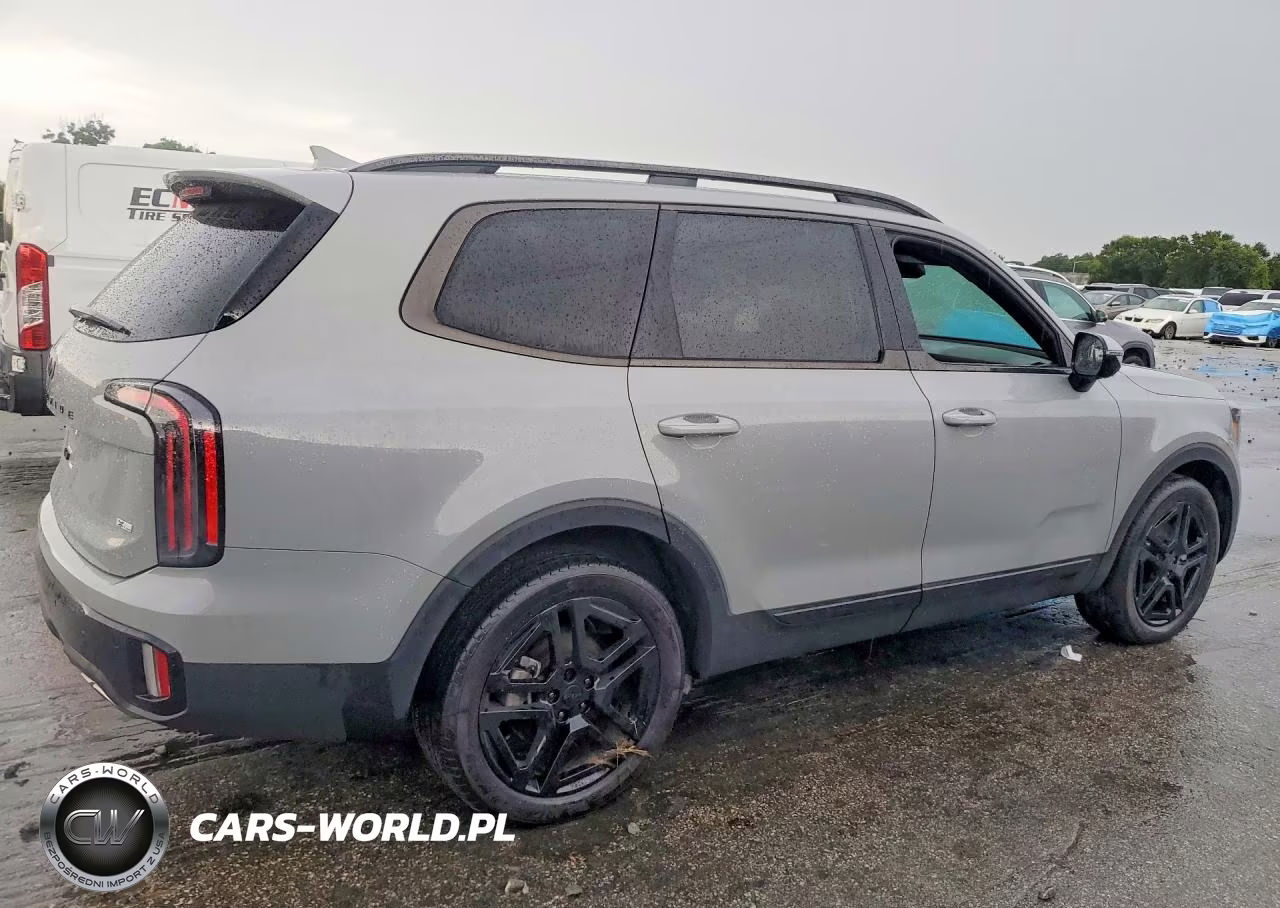 2025 Kia Telluride Sx-Prestige X-Line VIN:5XYP5DGC4SG683793 - 3