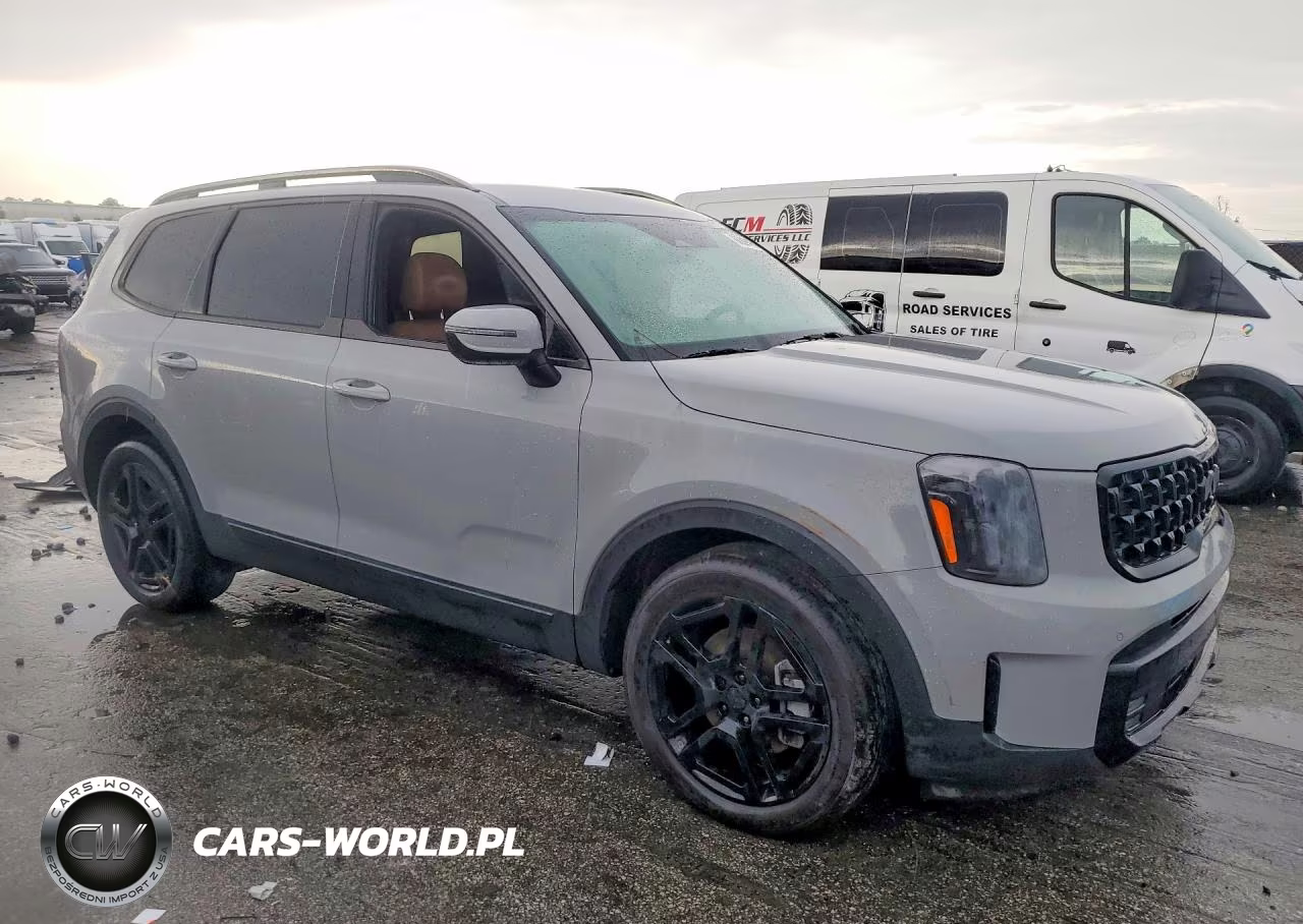 2025 Kia Telluride Sx-Prestige X-Line VIN:5XYP5DGC4SG683793 - 4