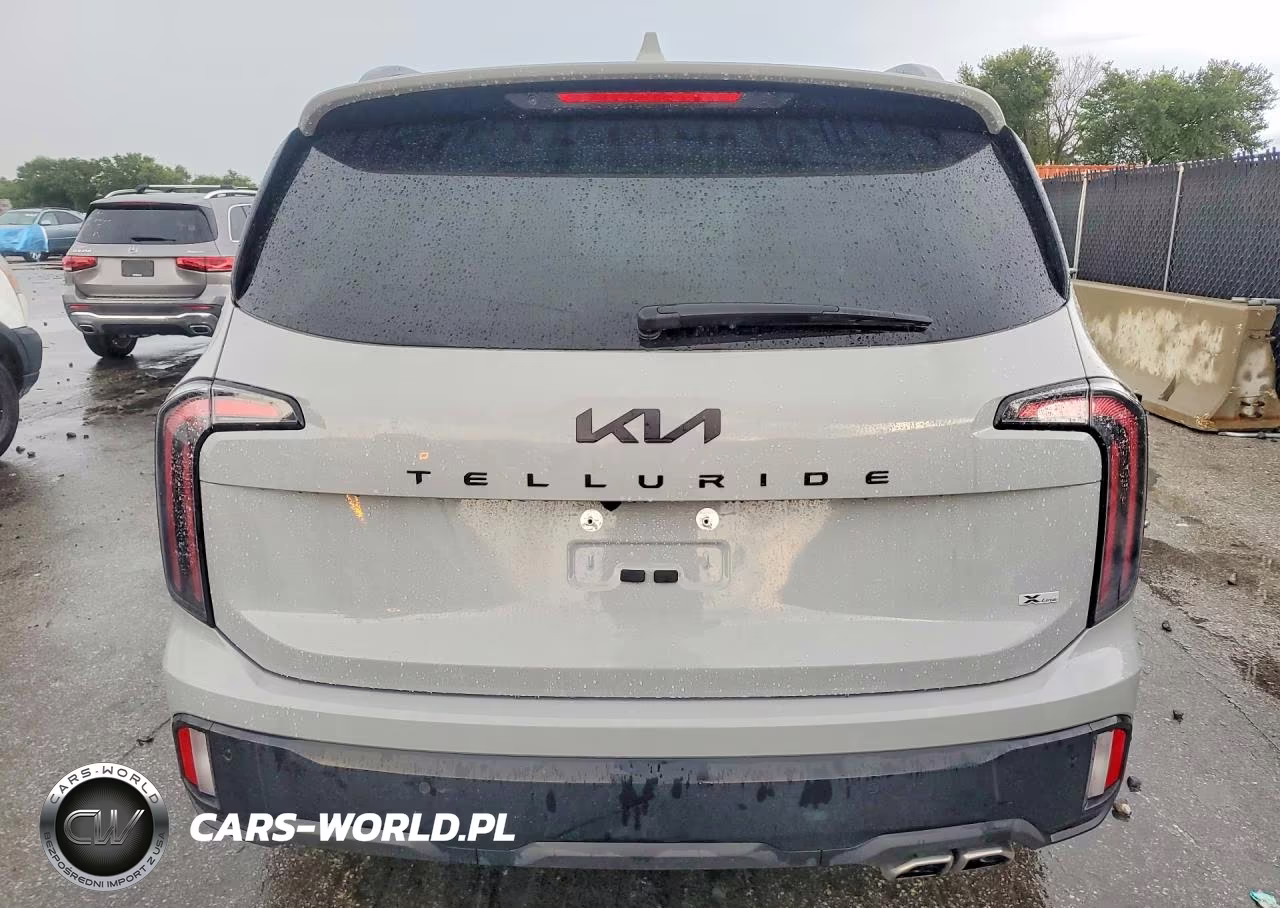 2025 Kia Telluride Sx-Prestige X-Line VIN:5XYP5DGC4SG683793 - 6