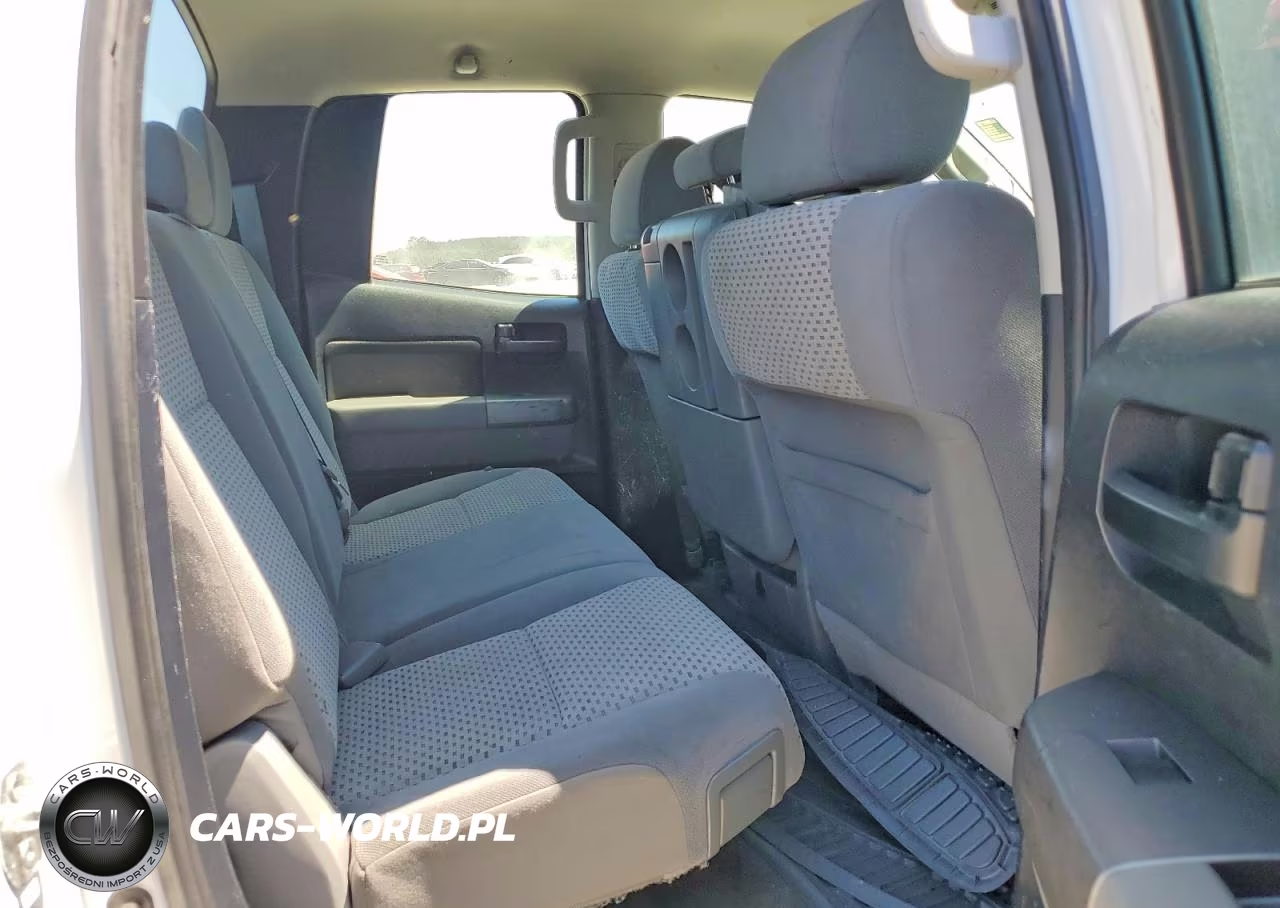 2010 Toyota Tundra Double Cab Sr5 VIN:5TFUM5F11AX011875 - 10