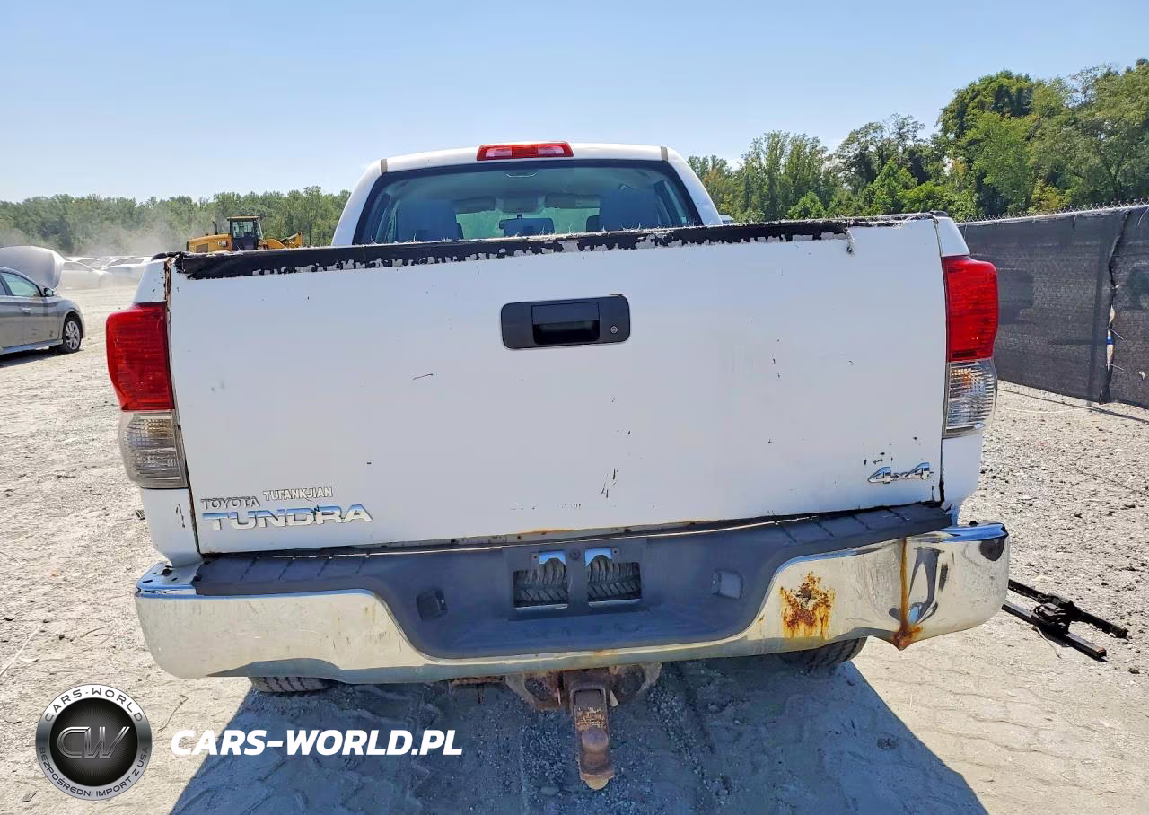 2010 Toyota Tundra Double Cab Sr5 VIN:5TFUM5F11AX011875 - 6