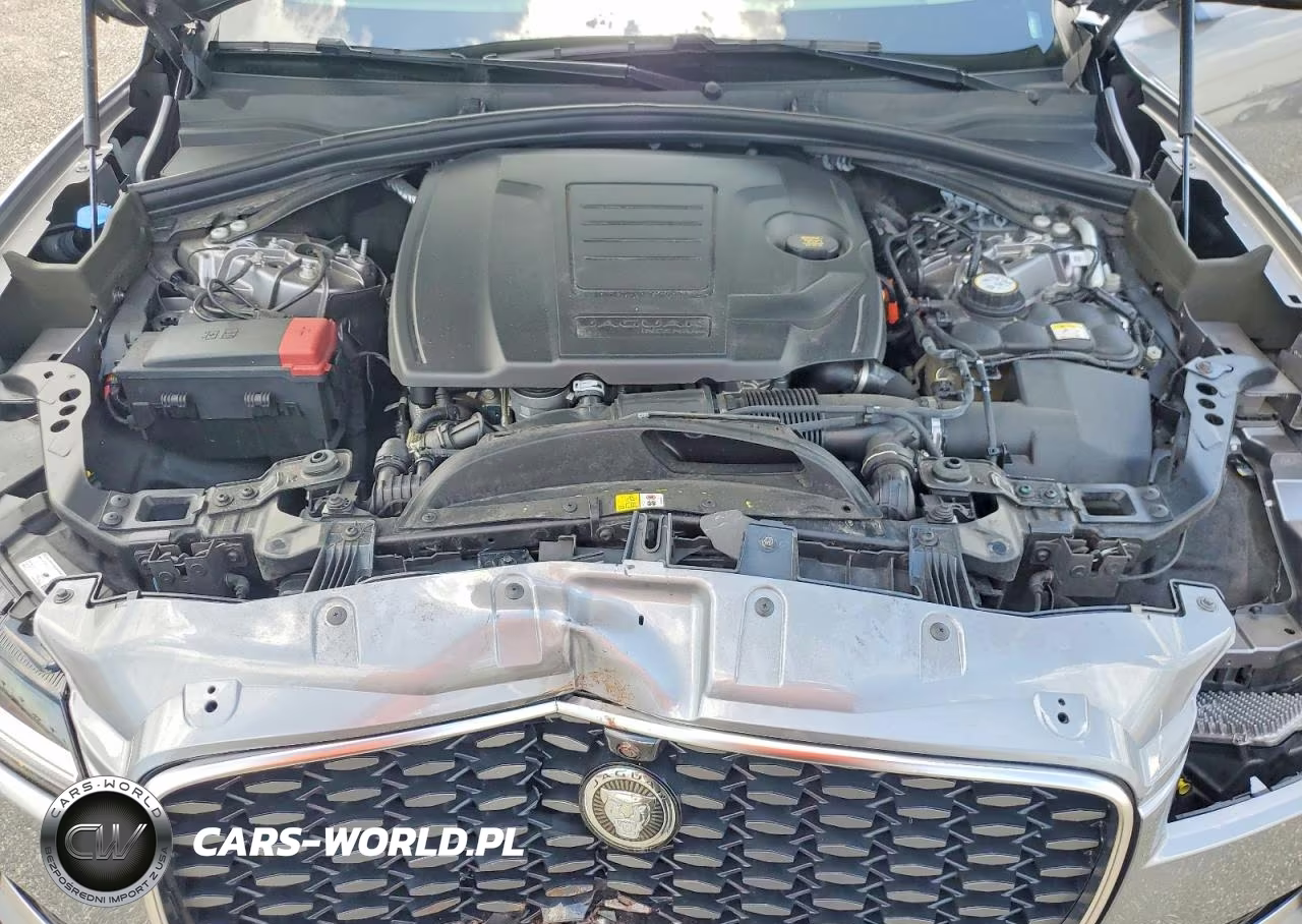 2025 Jaguar F-Pace R-Dynamic S VIN:SADCT2EXXSA743465 - 12