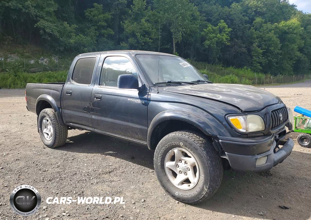 2002 Toyota Tacoma Double Cab VIN:5TEHN72N32Z131822 - 4