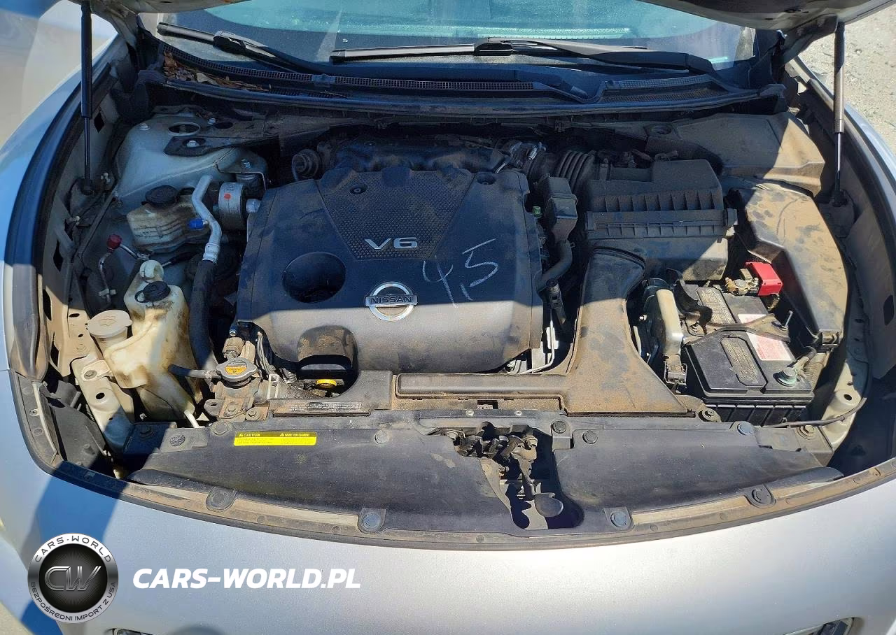 2009 Nissan Maxima 3.5 S VIN:1N4AA51E29C833163 - 11