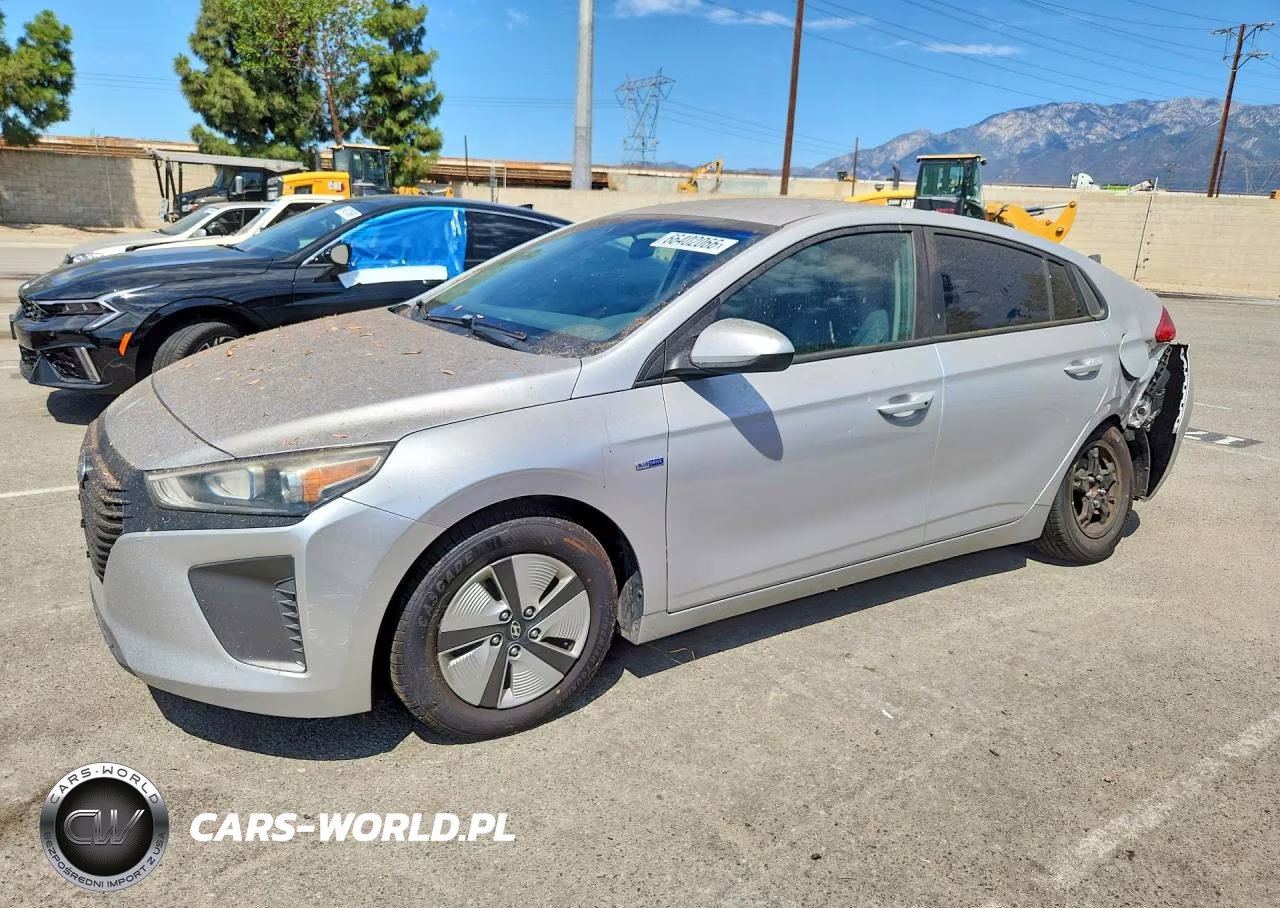 2019 Hyundai Ioniq Blue VIN:KMHC65LCXKU113329 - 1