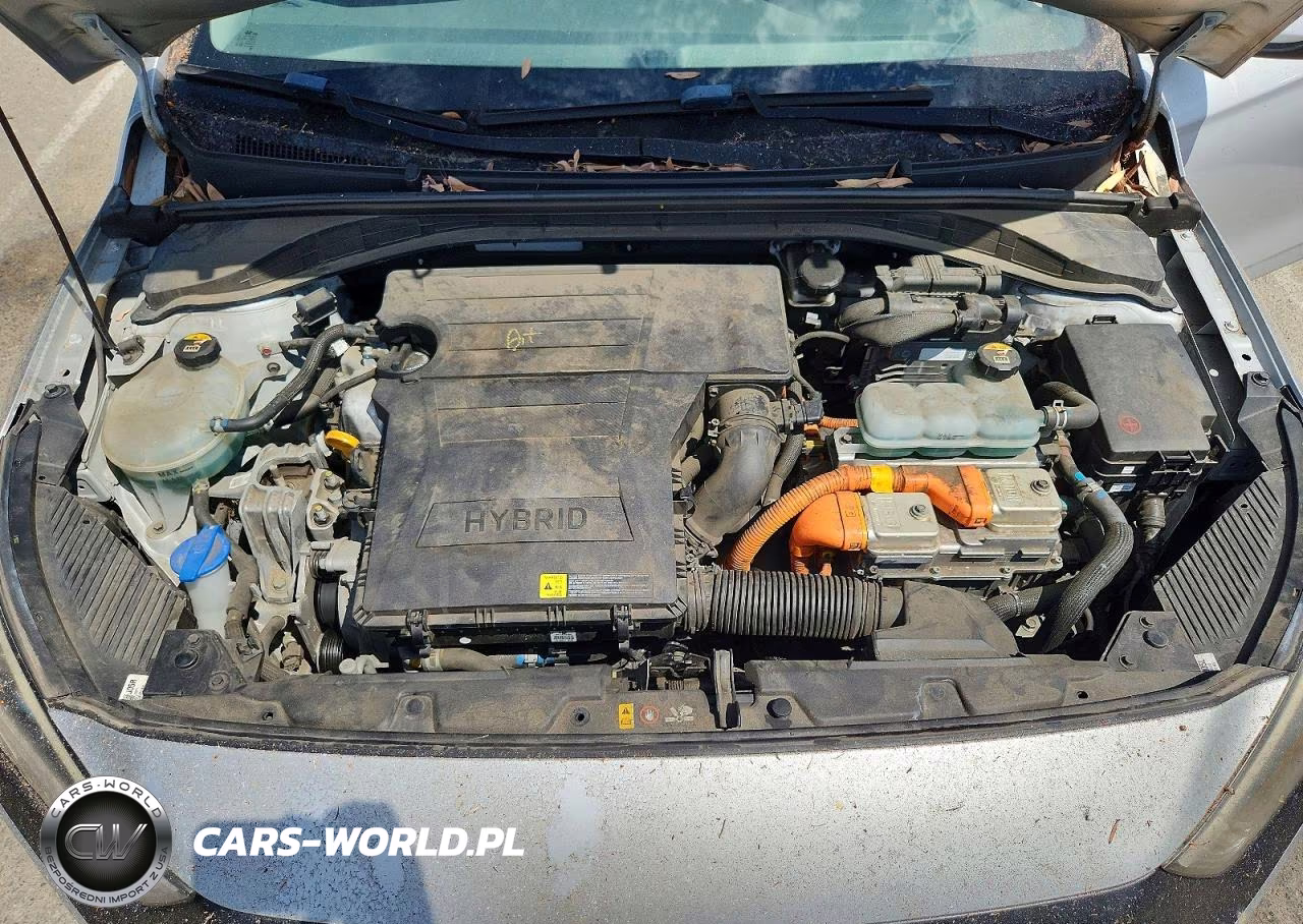 2019 Hyundai Ioniq Blue VIN:KMHC65LCXKU113329 - 11