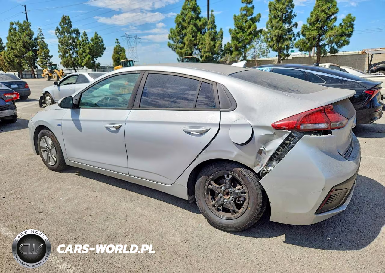 2019 Hyundai Ioniq Blue VIN:KMHC65LCXKU113329 - 2