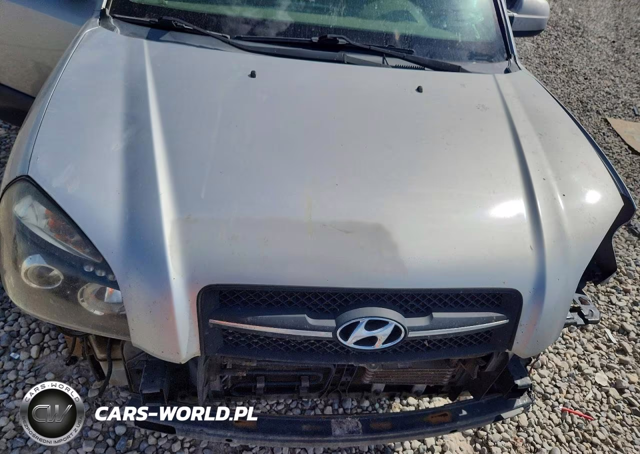 2007 Hyundai Tucson Se VIN:KM8JN72D47U528086 - 11