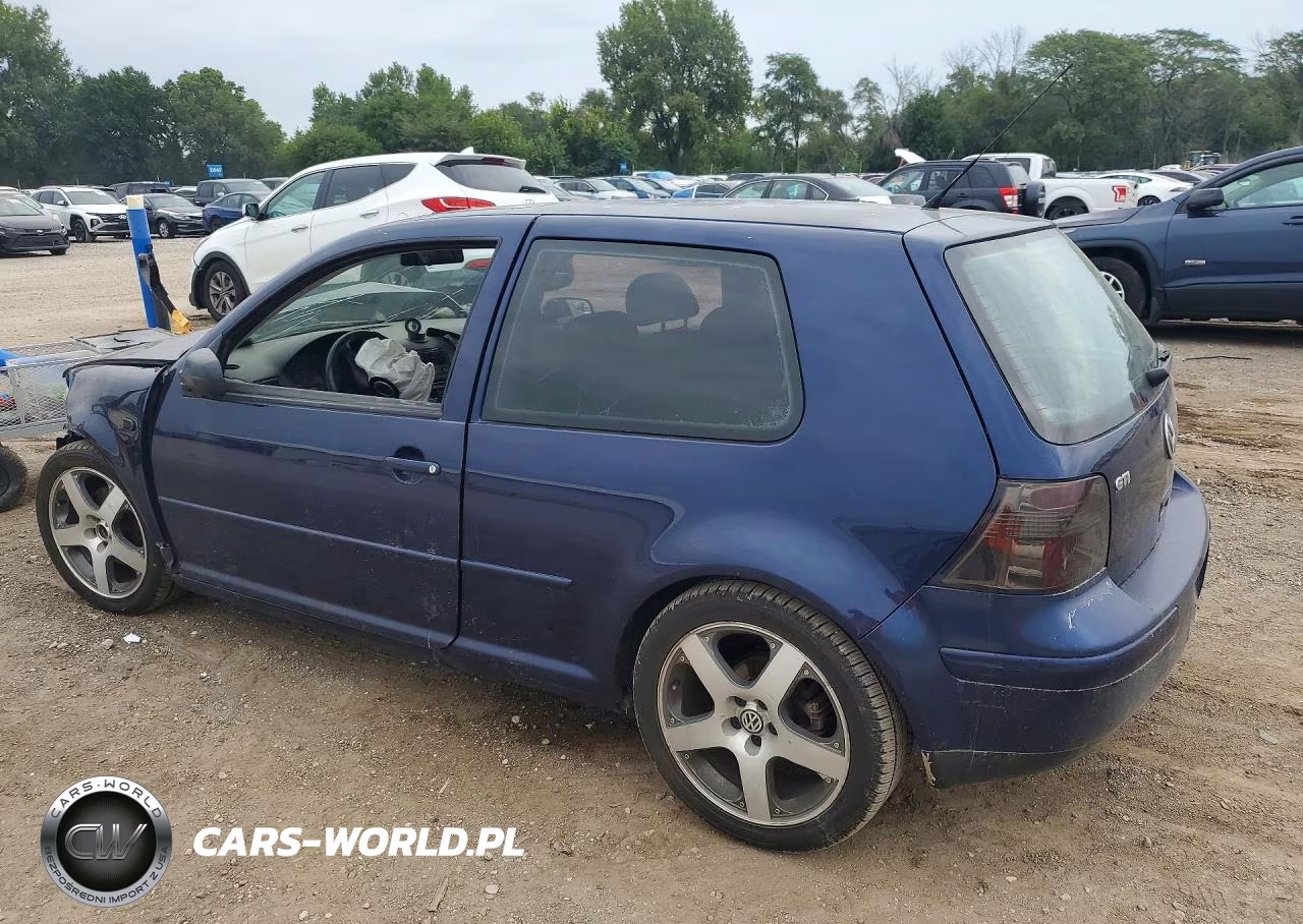 2002 Volkswagen Gti Vr6 VIN:9BWPG61J424007748 - 2