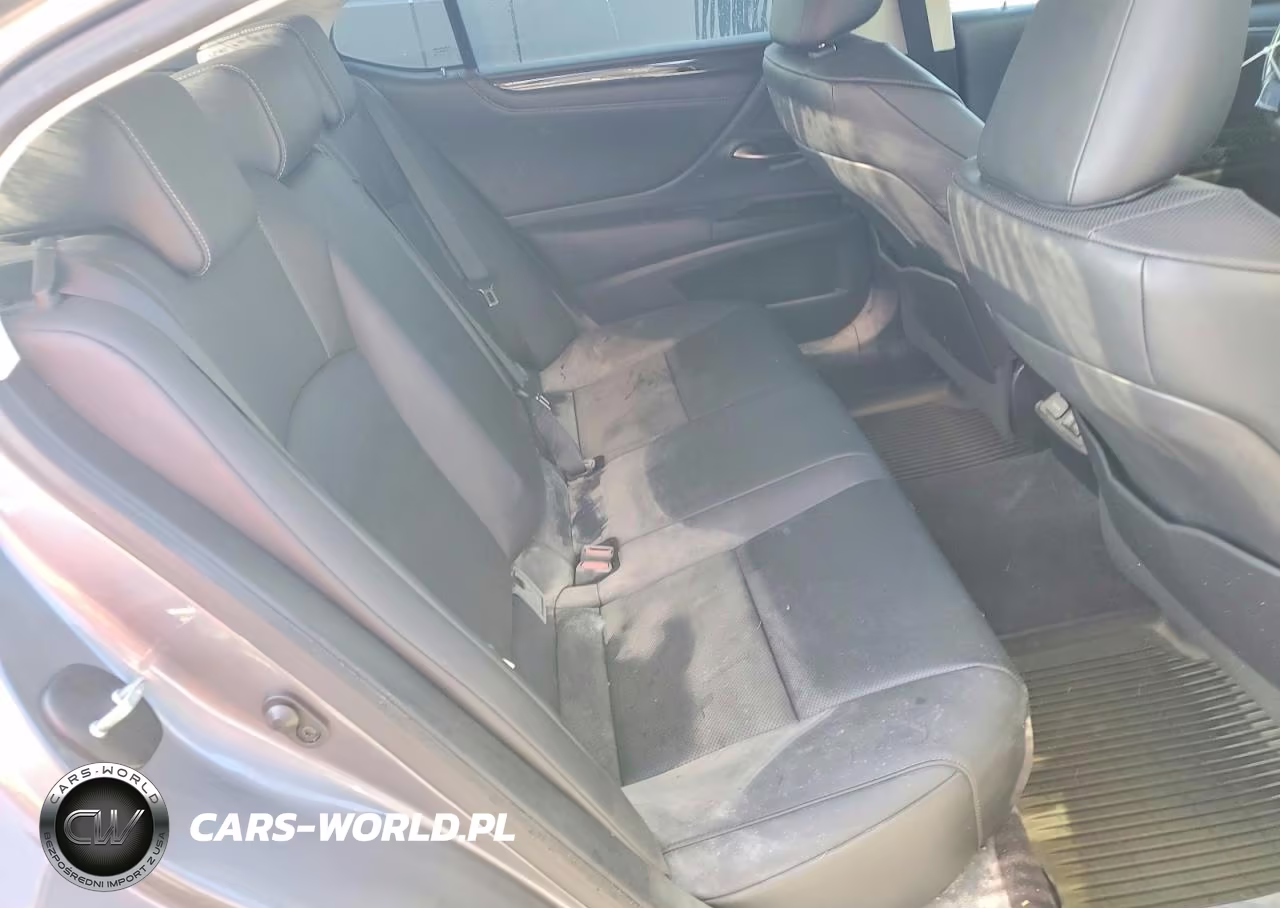 2021 Lexus Es 250 Base VIN:58AD11D11MU001846 - 10