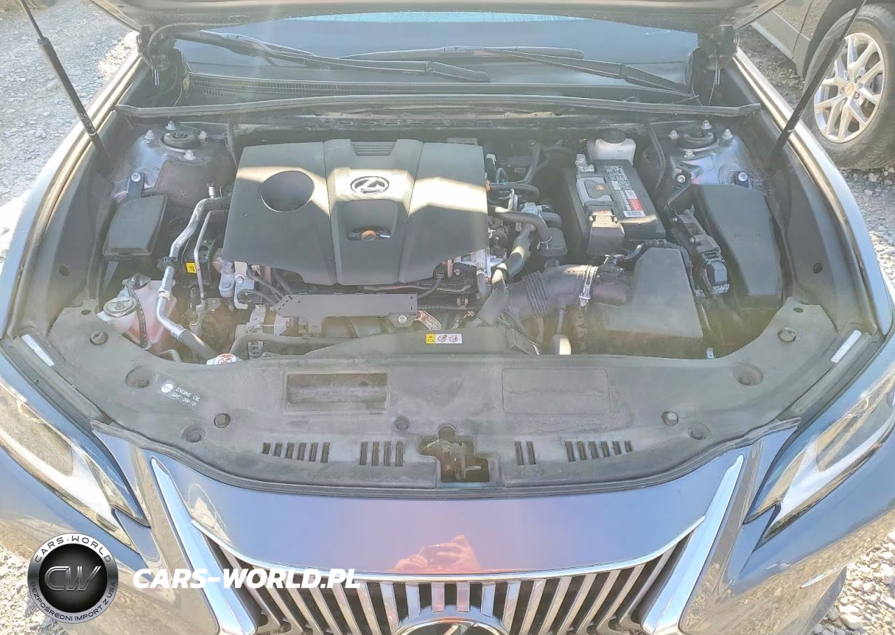 2021 Lexus Es 250 Base VIN:58AD11D11MU001846 - 11