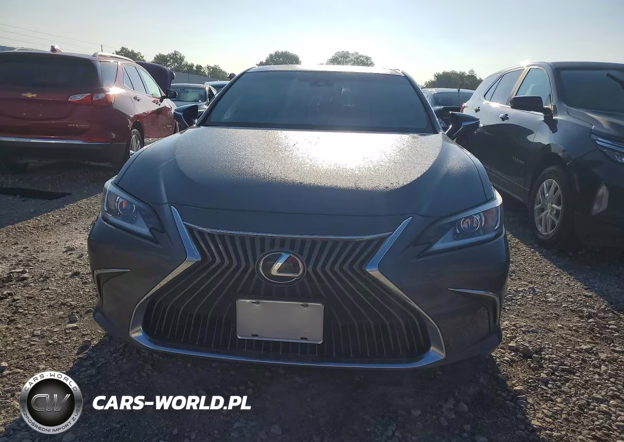 2021 Lexus Es 250 Base VIN:58AD11D11MU001846 - 5