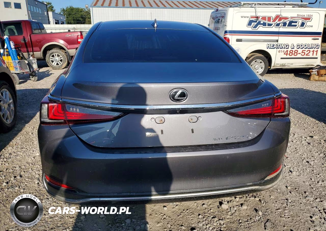 2021 Lexus Es 250 Base VIN:58AD11D11MU001846 - 6