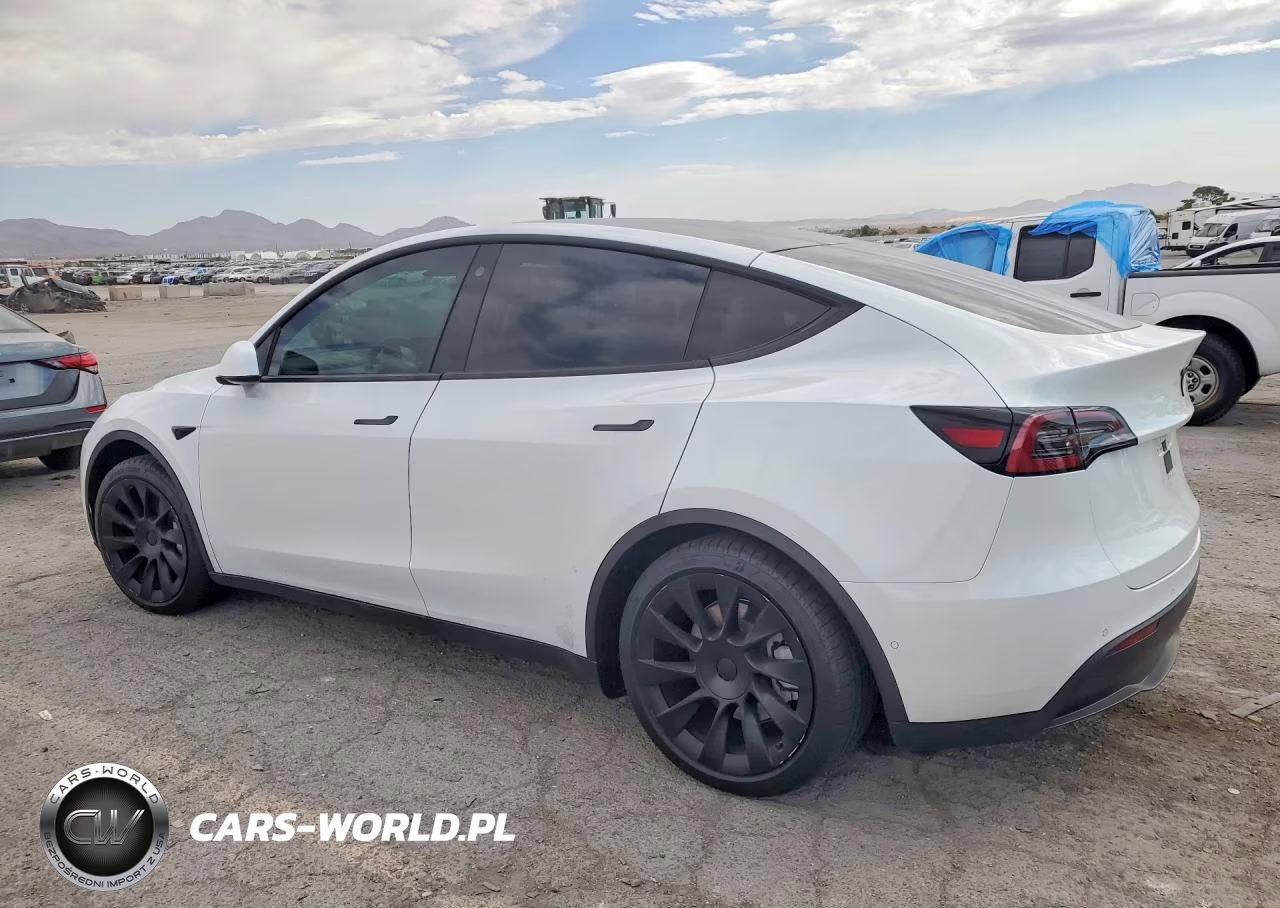 2022 Tesla Model Y VIN:7SAYGAEE6NF316538 - 2