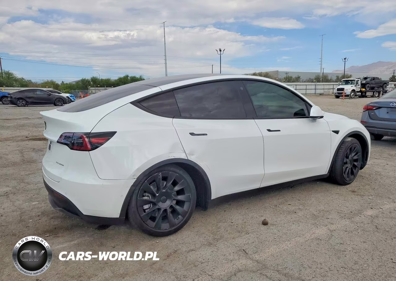 2022 Tesla Model Y VIN:7SAYGAEE6NF316538 - 3