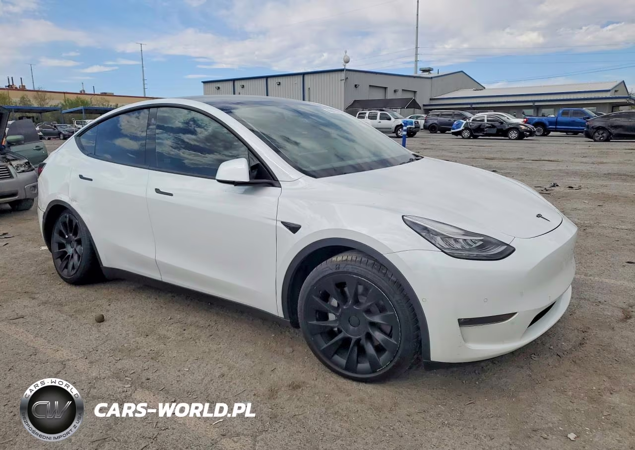 2022 Tesla Model Y VIN:7SAYGAEE6NF316538 - 4