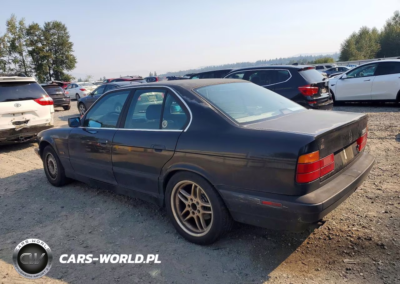 1995 BMW 525 I Automatic VIN:WBAHD6325SGK84398 - 2