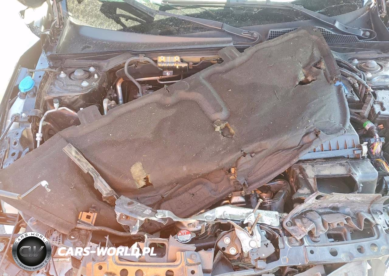 2025 Honda Civic Sport VIN:2HGFE2F51SH508567 - 11