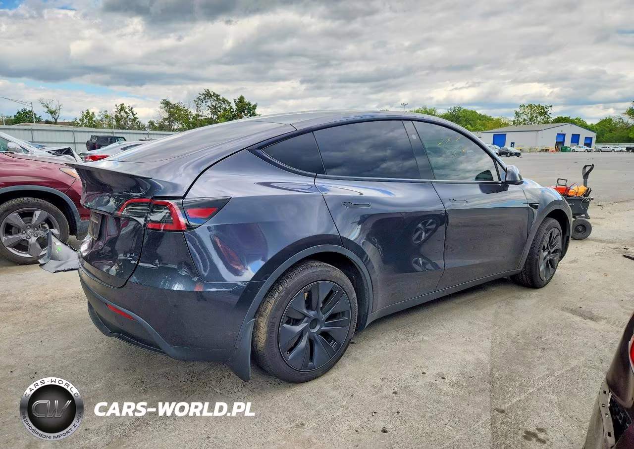 2024 Tesla Model Y VIN:7SAYGDED0RF103826 - 3