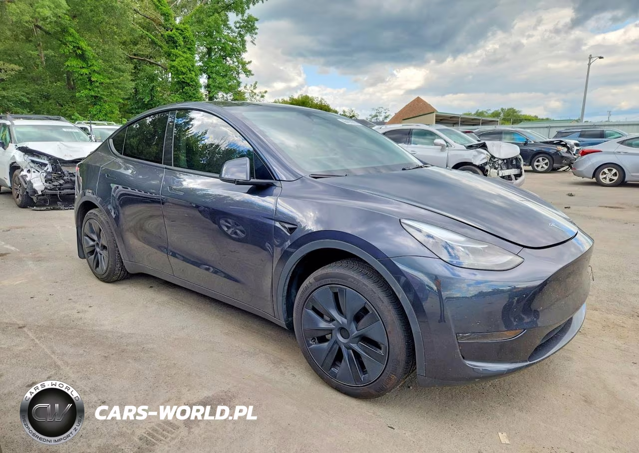 2024 Tesla Model Y VIN:7SAYGDED0RF103826 - 4