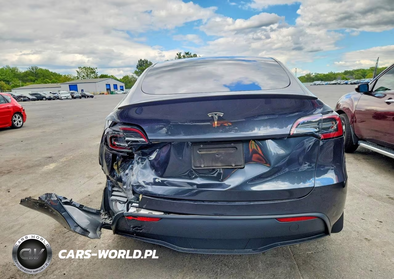 2024 Tesla Model Y VIN:7SAYGDED0RF103826 - 6