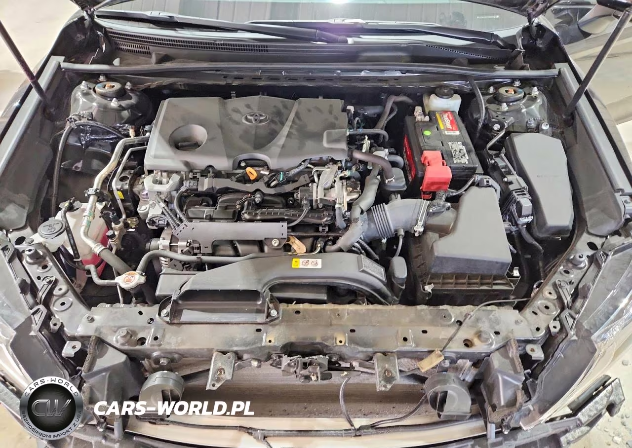 2019 Toyota Camry Se VIN:4T1B11HK1KU280665 - 11