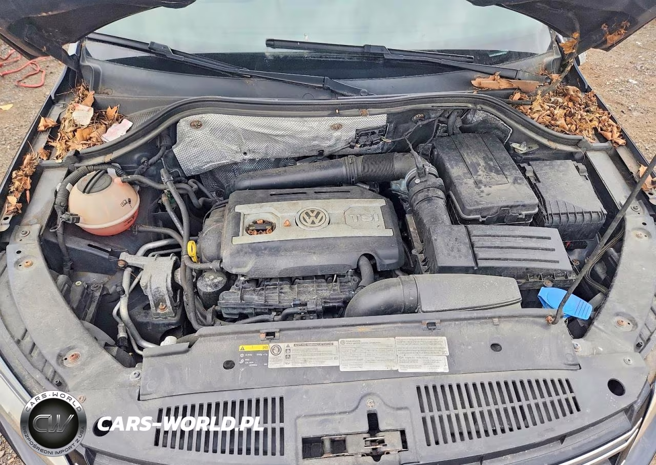 2016 Volkswagen Tiguan S VIN:WVGBV7AX5GW617167 - 12