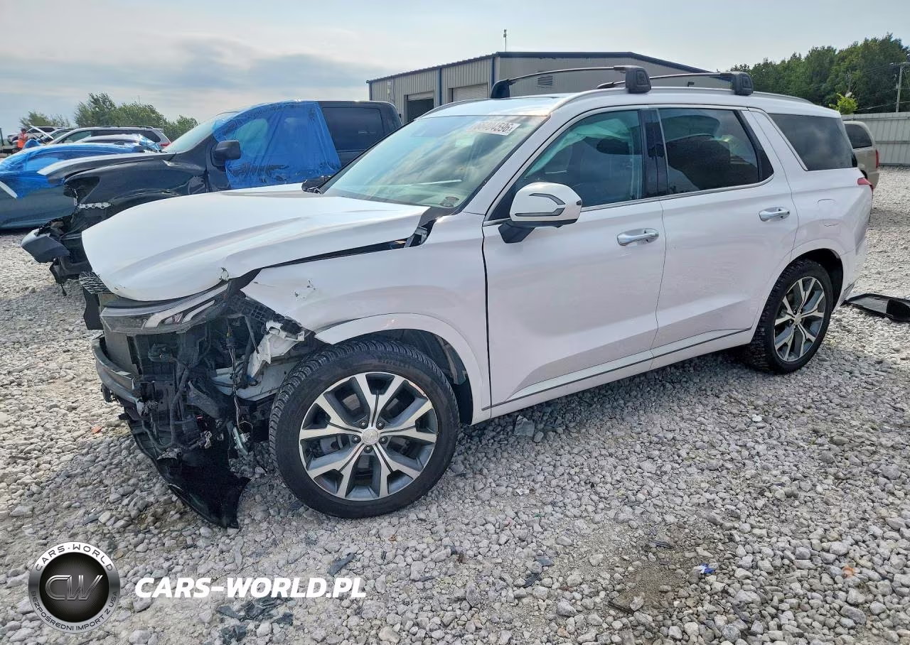 2021 Hyundai Palisade Limited VIN:KM8R5DHE5MU229218 - 1