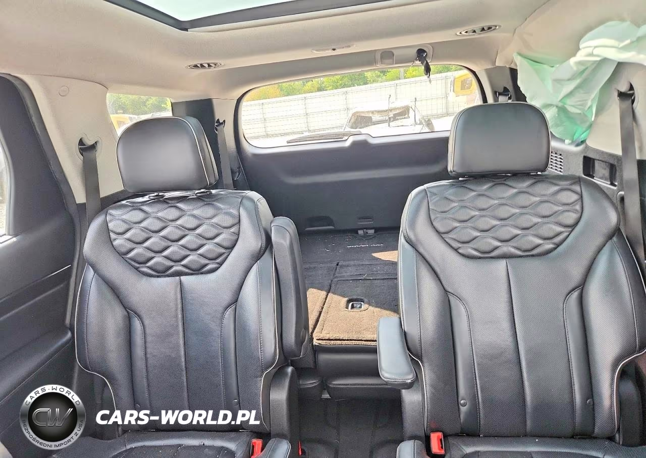 2021 Hyundai Palisade Limited VIN:KM8R5DHE5MU229218 - 10