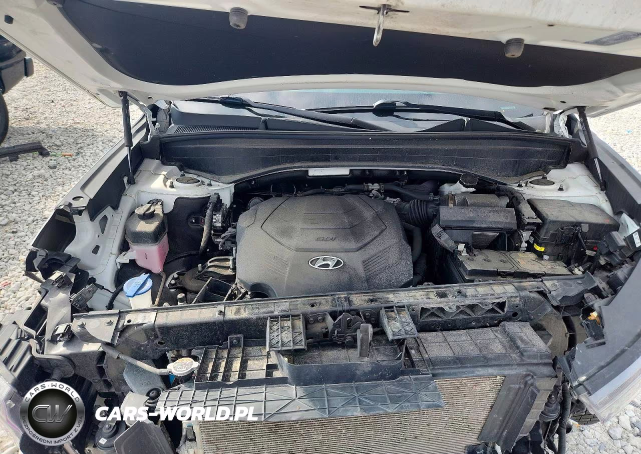2021 Hyundai Palisade Limited VIN:KM8R5DHE5MU229218 - 12