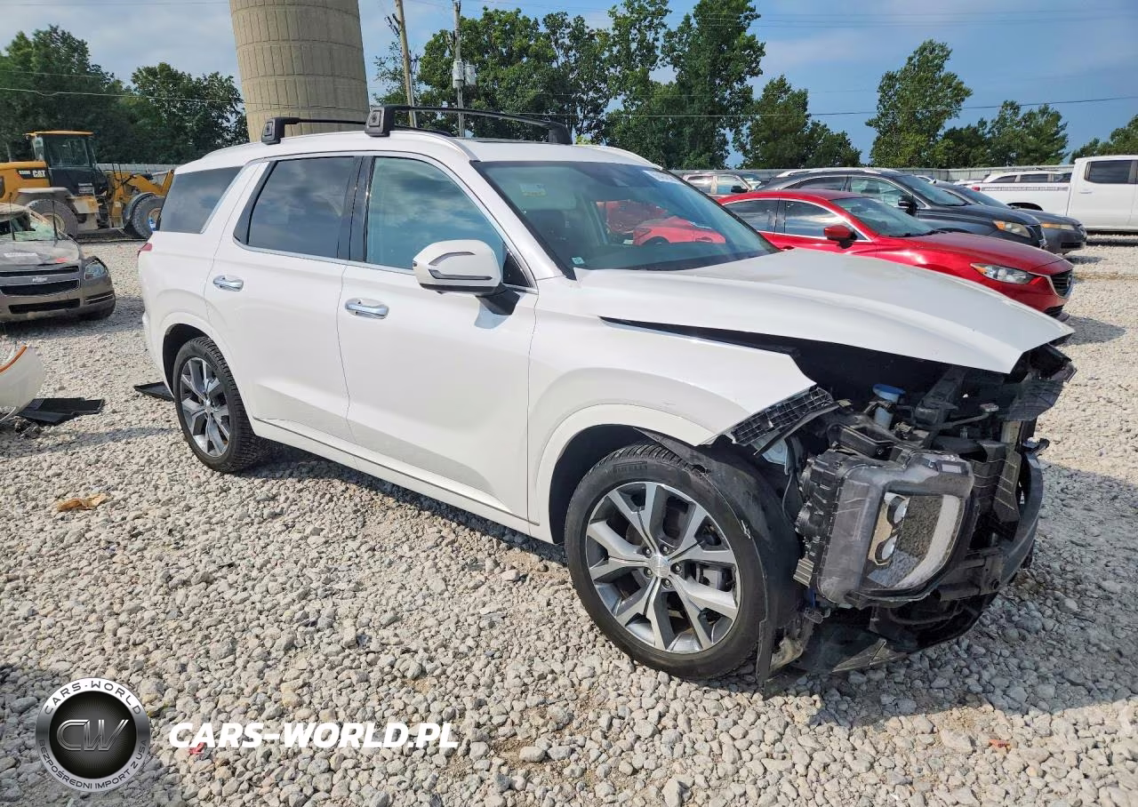 2021 Hyundai Palisade Limited VIN:KM8R5DHE5MU229218 - 4