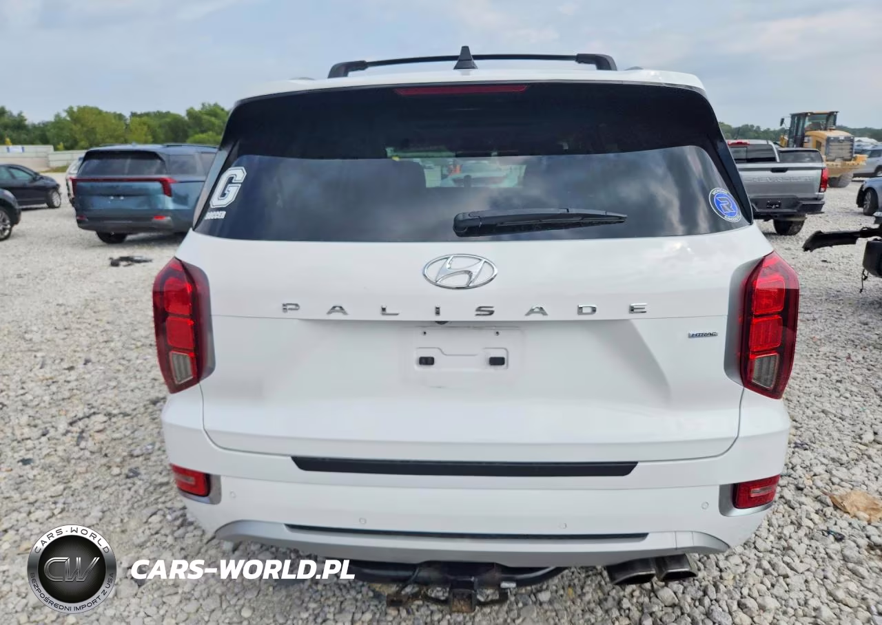 2021 Hyundai Palisade Limited VIN:KM8R5DHE5MU229218 - 6