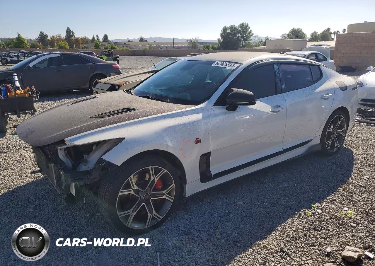 2019 Kia Stinger Gt VIN:KNAE35LC6K6059535 - 1