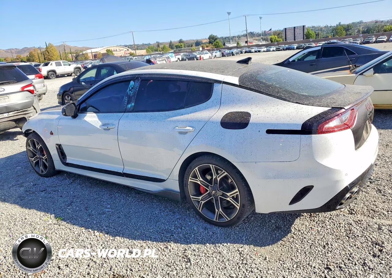 2019 Kia Stinger Gt VIN:KNAE35LC6K6059535 - 2
