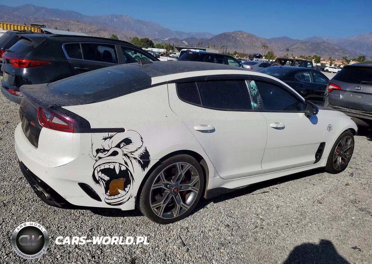 2019 Kia Stinger Gt VIN:KNAE35LC6K6059535 - 3