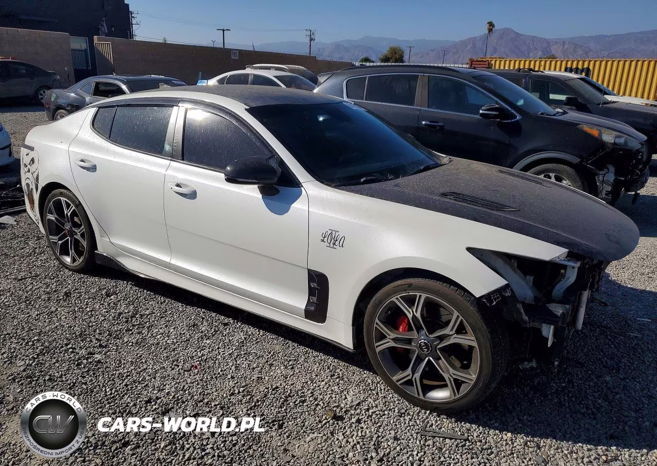 2019 Kia Stinger Gt VIN:KNAE35LC6K6059535 - 4