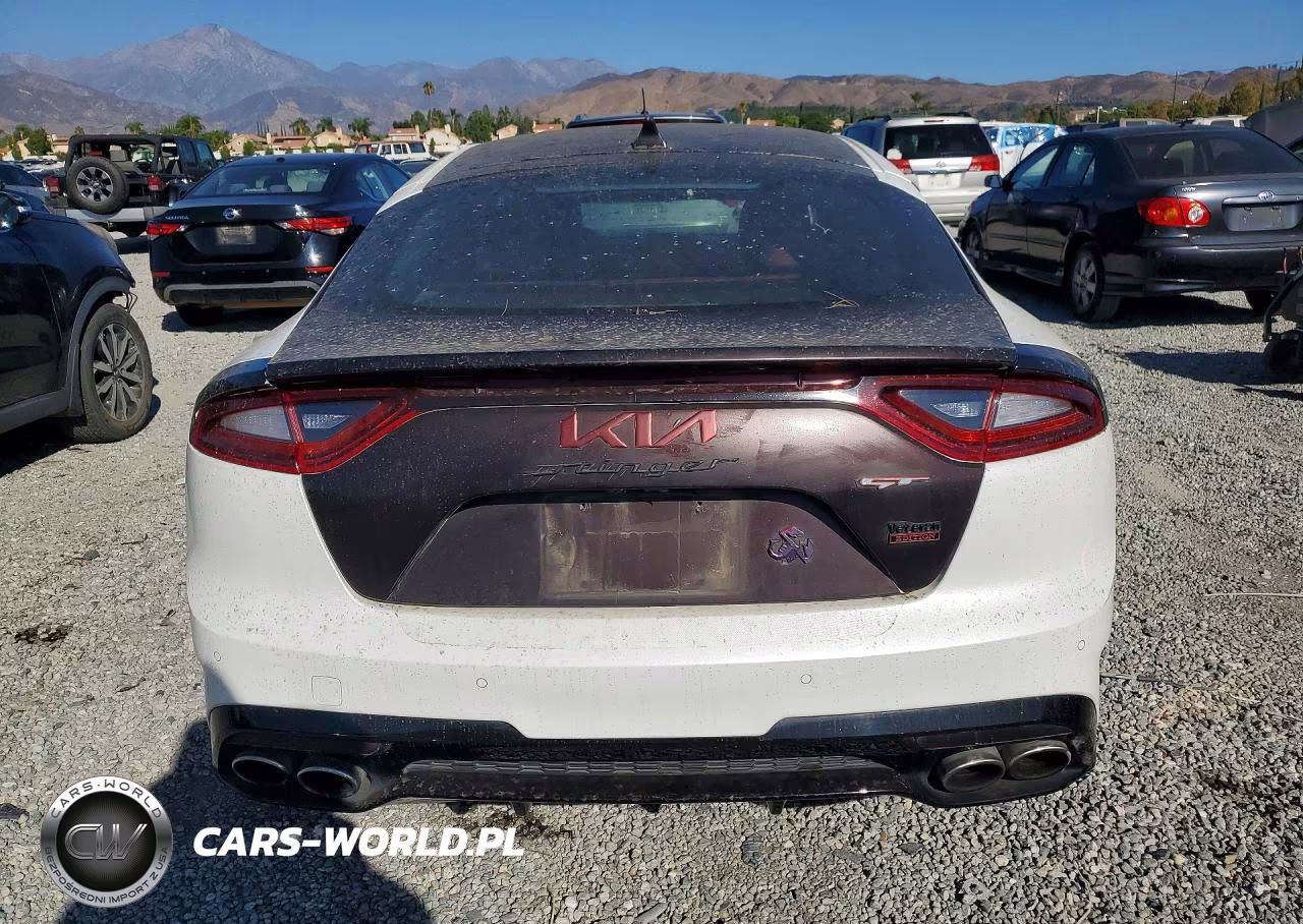 2019 Kia Stinger Gt VIN:KNAE35LC6K6059535 - 6