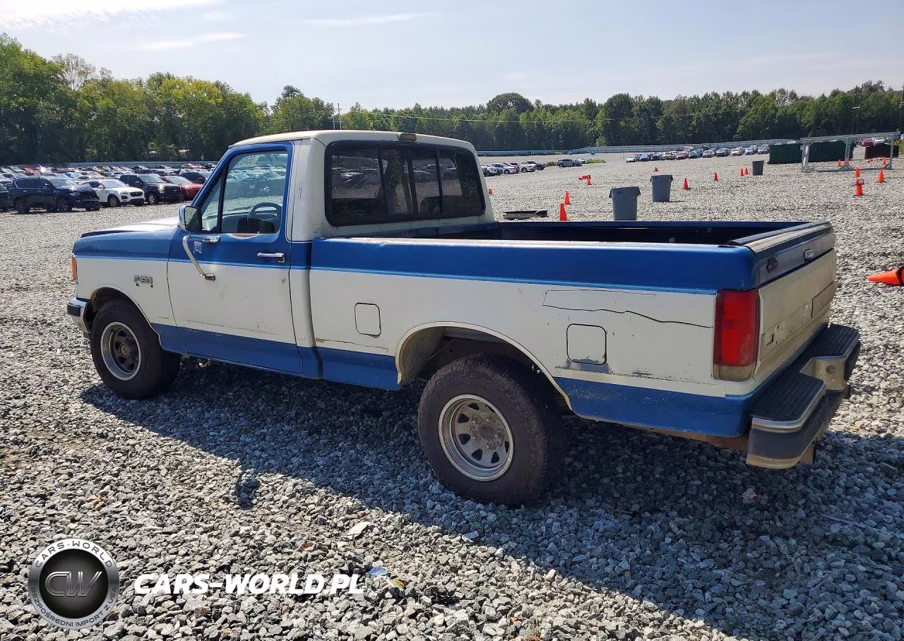1989 Ford F150 VIN:1FTDF15H9KNA26686 - 2