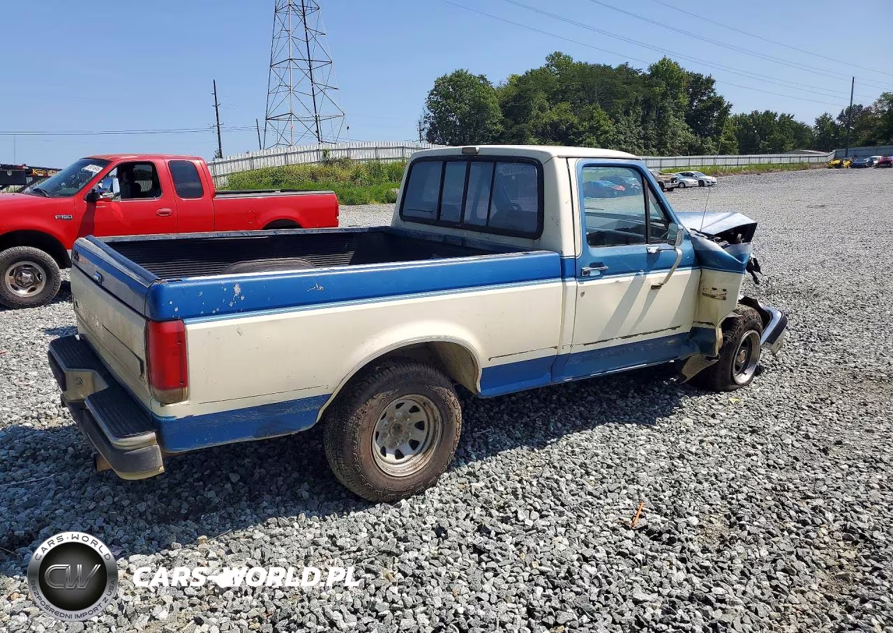 1989 Ford F150 VIN:1FTDF15H9KNA26686 - 3
