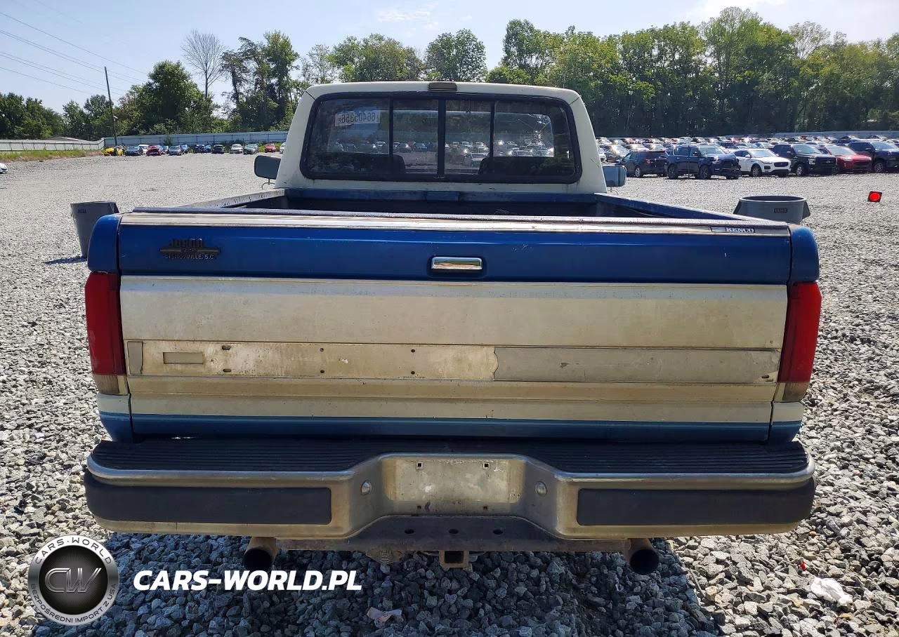 1989 Ford F150 VIN:1FTDF15H9KNA26686 - 6