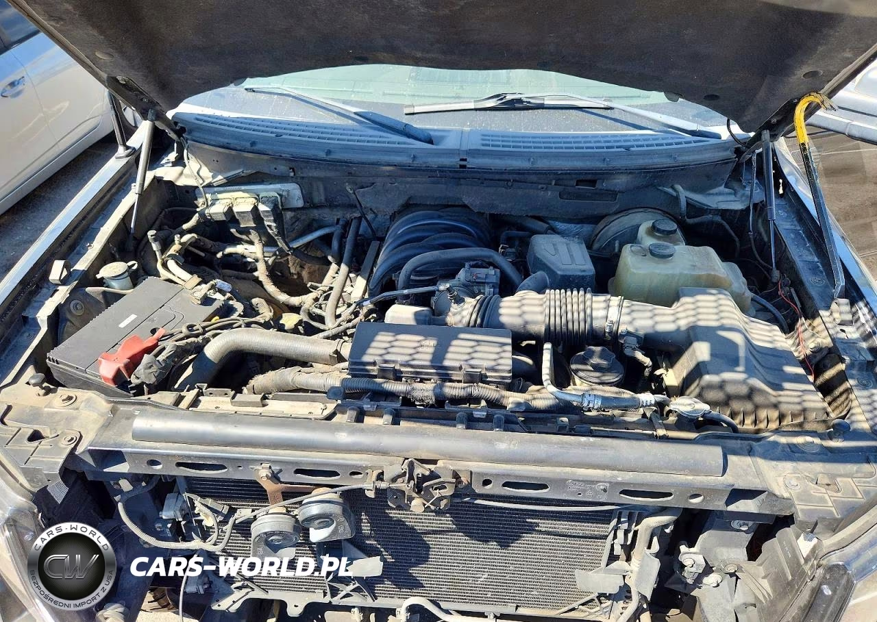 2009 Ford F150 Supercrew VIN:1FTRW12829KB49588 - 11