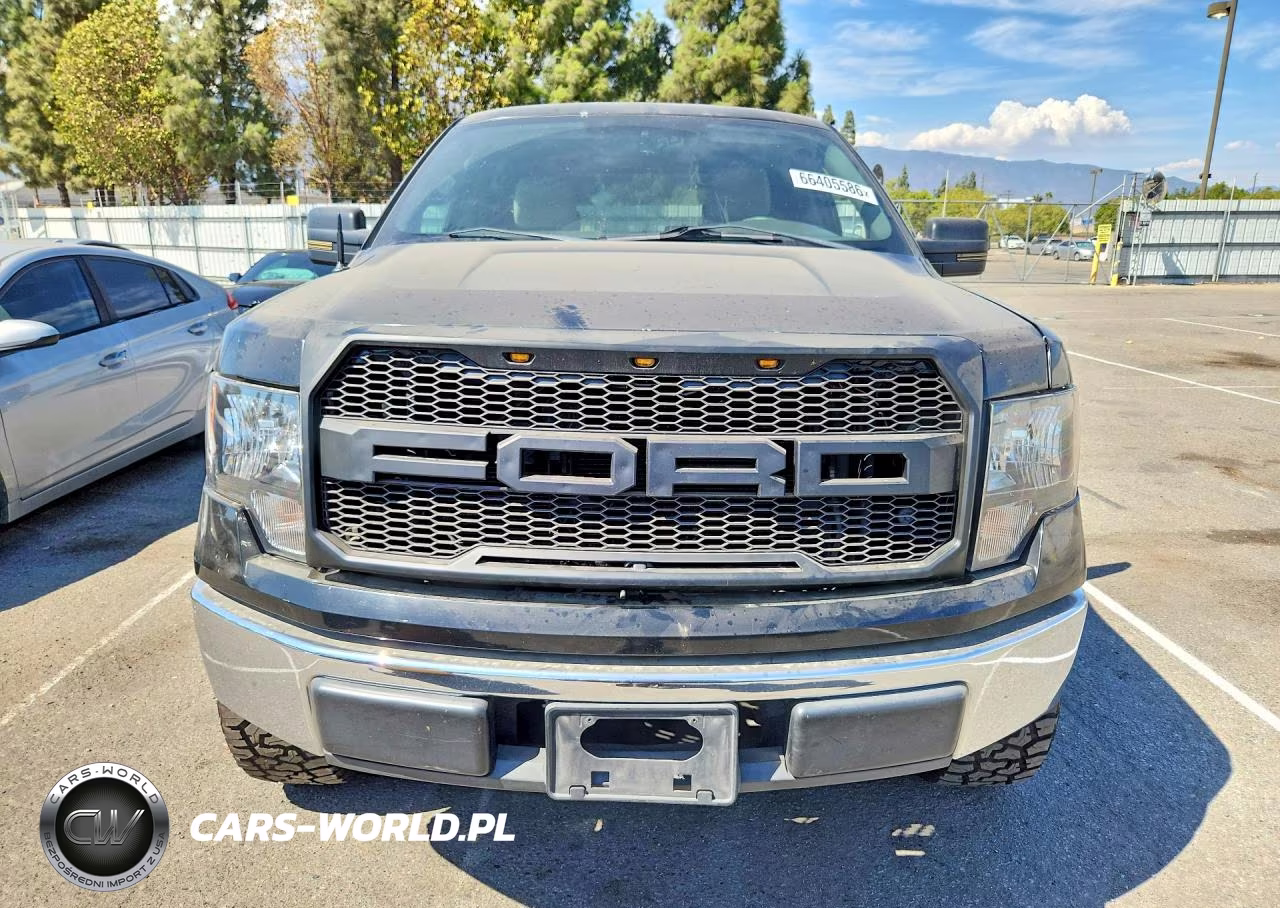 2009 Ford F150 Supercrew VIN:1FTRW12829KB49588 - 5