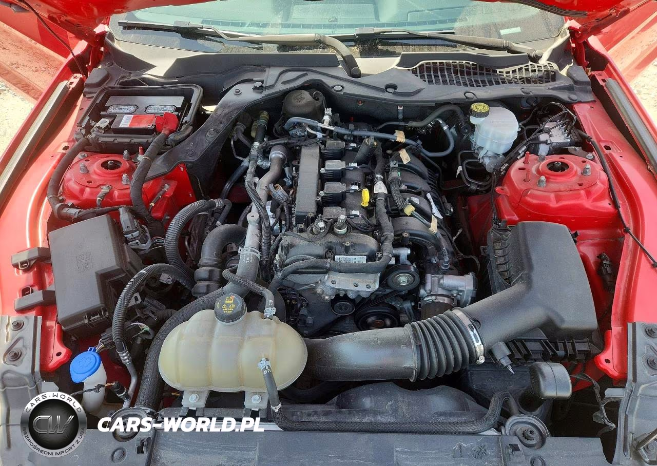 2021 Ford Mustang VIN:1FA6P8TH5M5153686 - 11