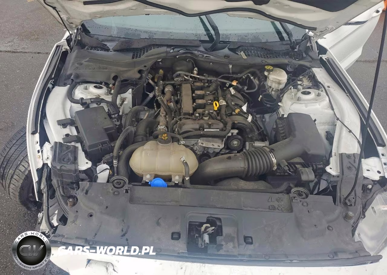 2021 Ford Mustang VIN:1FA6P8THXM5152551 - 11