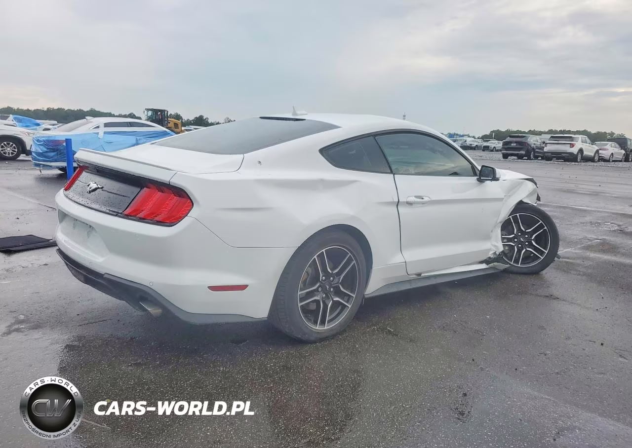 2021 Ford Mustang VIN:1FA6P8THXM5152551 - 3