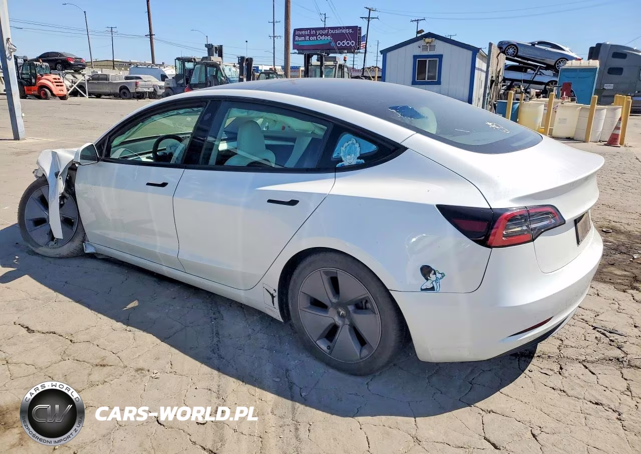 2023 Tesla Model 3 VIN:5YJ3E1EA3PF513227 - 2