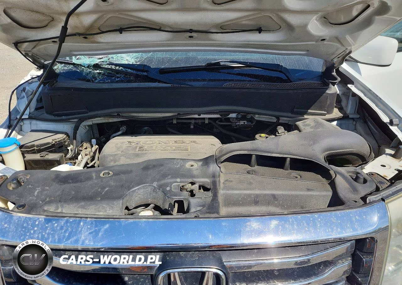 2013 Honda Pilot Exl VIN:5FNYF4H51DB007619 - 12