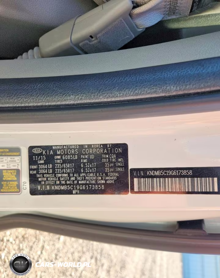 2016 Kia Sedona Lx VIN:KNDMB5C19G6173858 - 13